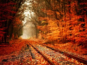 Тема Autumn Road